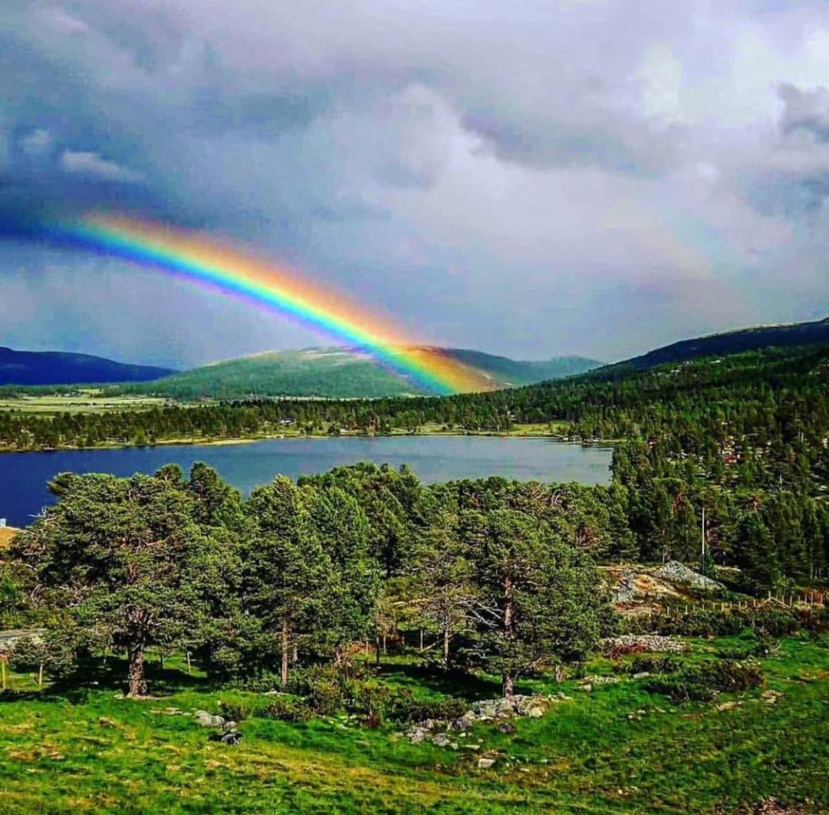 Rondablikk Fjellstasjon Hotel Mysusaeter Luaran gambar